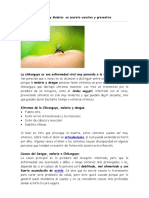 Dengue - Chikunguya y Malaria.doc