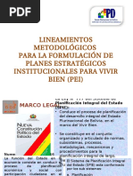 Lineamientos Metodologicos Pei
