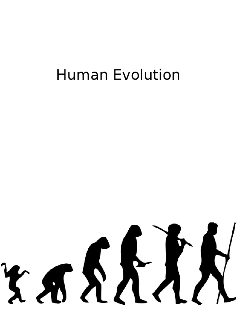 Evolution | PDF