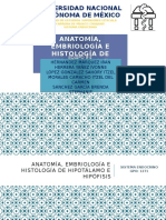 Anatomía, Embriología e Histología de Hipotálamo e Hipófisis