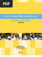 Currículo Nacional Base Básicos