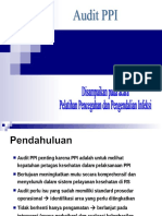 22. Audit Ppi