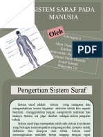 Sistem Saraf Pada Manusia