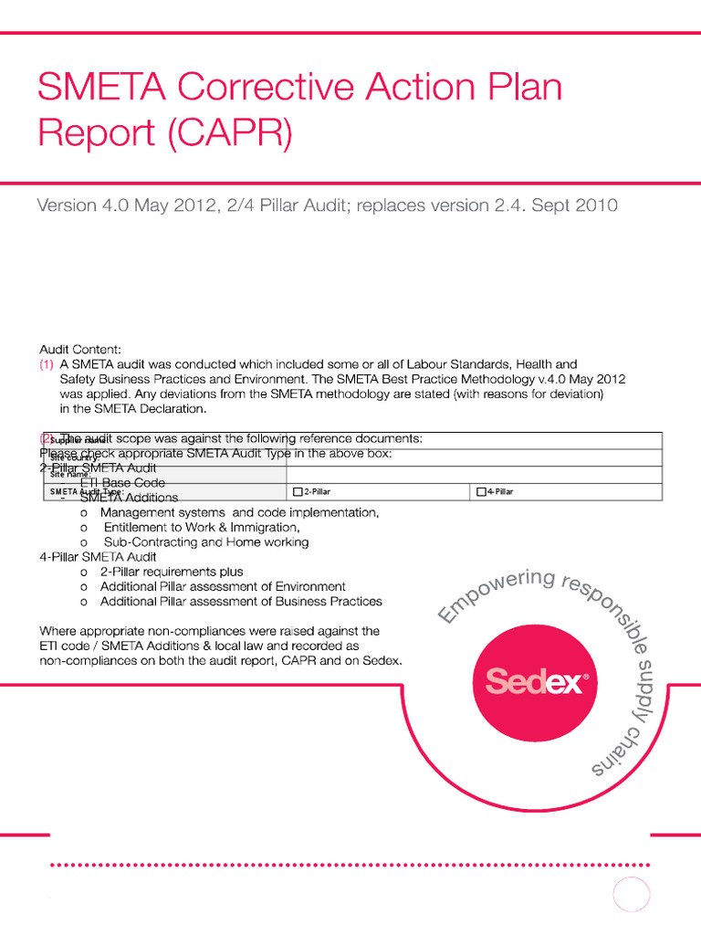 Free Corrective Action Plan Template | PDF | Auditor's Report | Audit