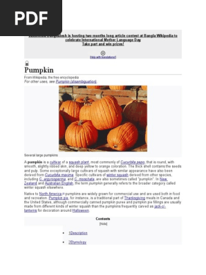Pumpkin Takoshi