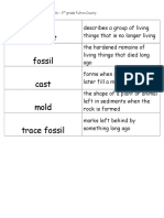 Fossils Flashcards 3rd Grade