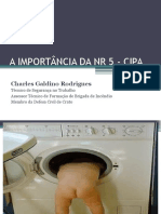 A IMPORTÂNCIA DA NR 5 - CIPA.pptx