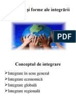 Curs 2. Concepte Si Forme Ale Integrarii