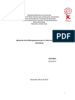 ProyectoStevia.pdf
