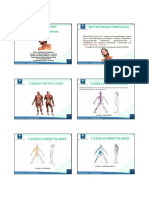 Motricidade Orofacial: Cadeias Musculares e Funções