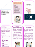 Leaflet Imunisasi PKM PDP 2013 Revisi