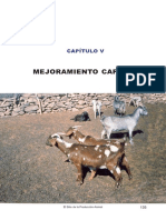 capitulo5.pdf