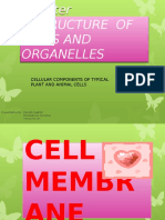 Cellular Components of Typical Plant and Animal Cells: Presentation By: Faridah Hashim Rossharkina Gorisma Wong Hui Jin