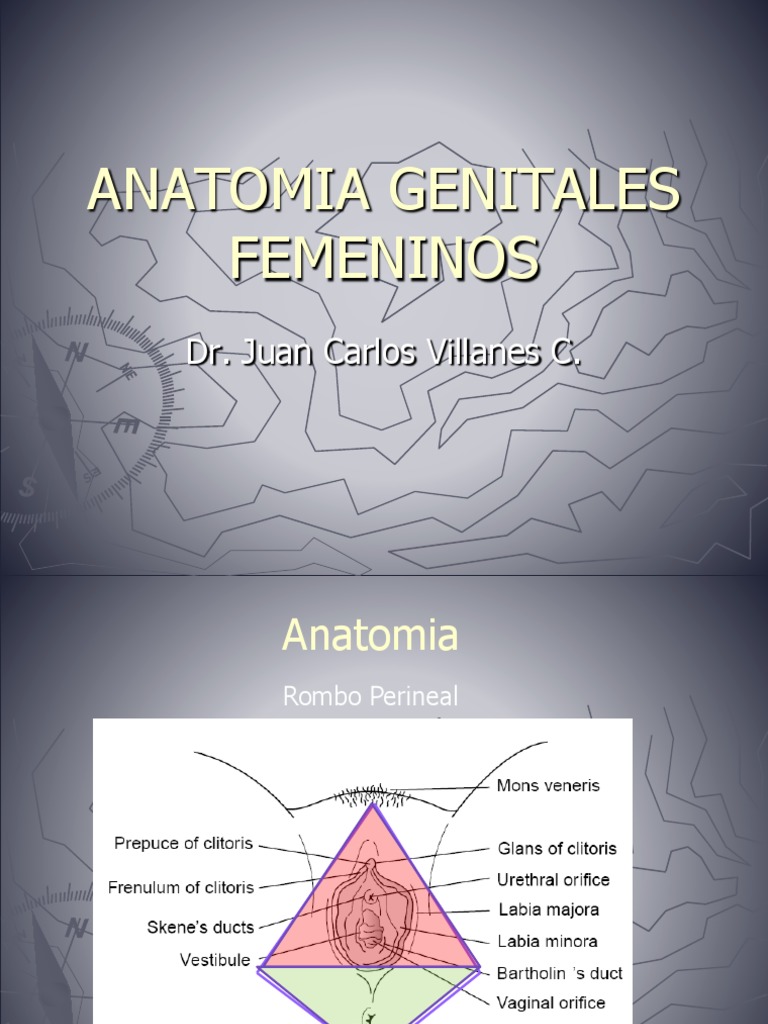 Obstetricia 1 Usamedic Completo Pdf Pdf Parto El Embarazo