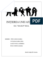 Iniţierea Unei Afaceri