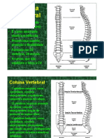 Coluna Vertebral.pdf
