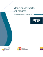 Atencion - Del - Parto - Por - Cesarea, GUIA DE PC PDF