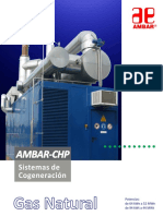 Ambar-CHP GN2.pdf