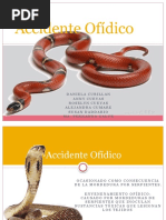 Accidente Ofídico