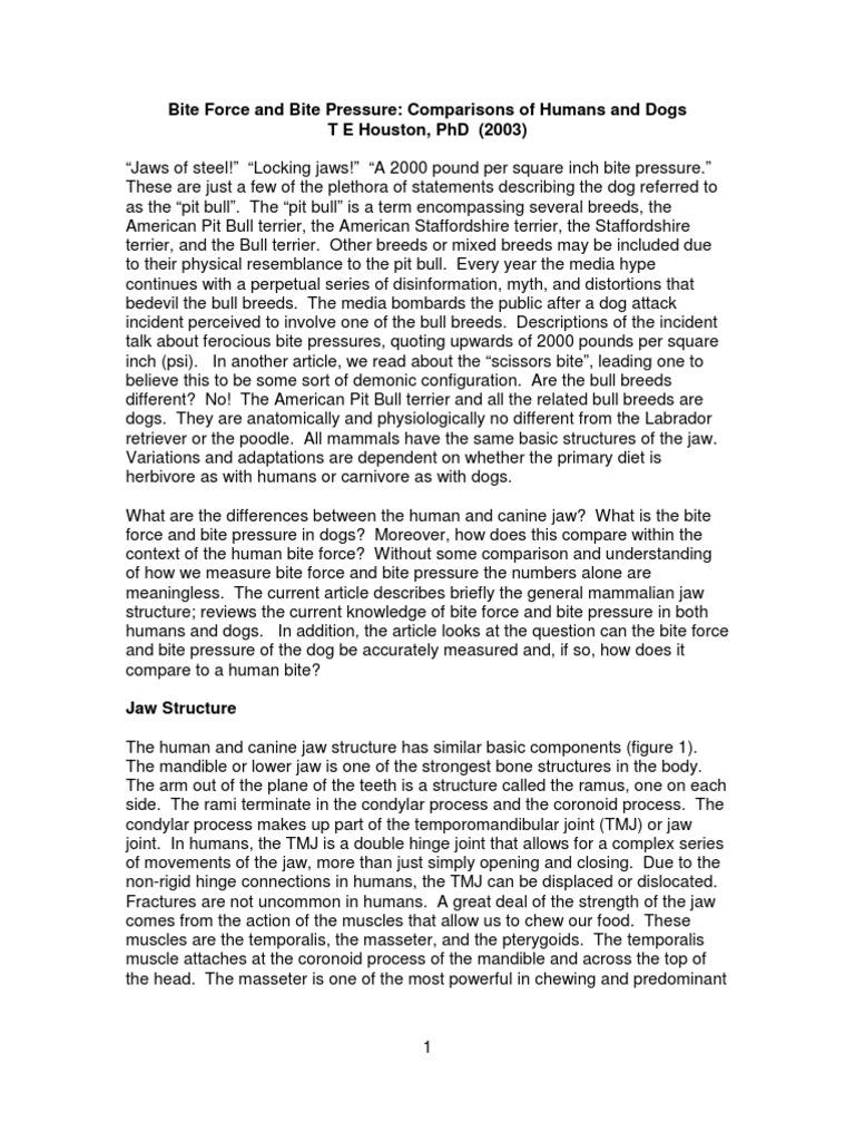 Bite Forces and Bite Pressure PDF Dogs Nature