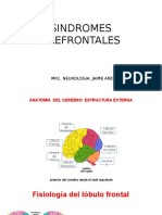 Expo Final Sindromes Prefrontales