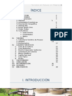 Informe de Pozuzo