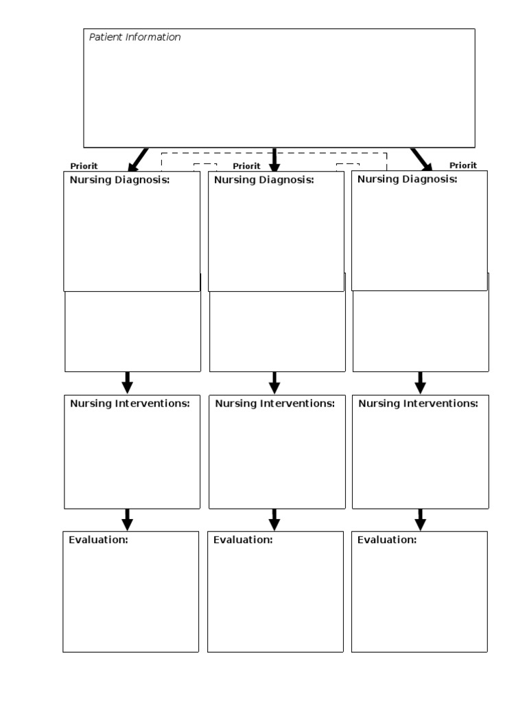 concept-care-map-template-pdf-nursing-health-care