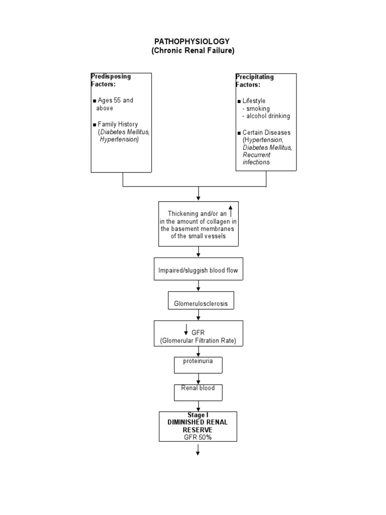Pathophysiology Chronic Renal Failure | PDF | Chronic Kidney Disease ...