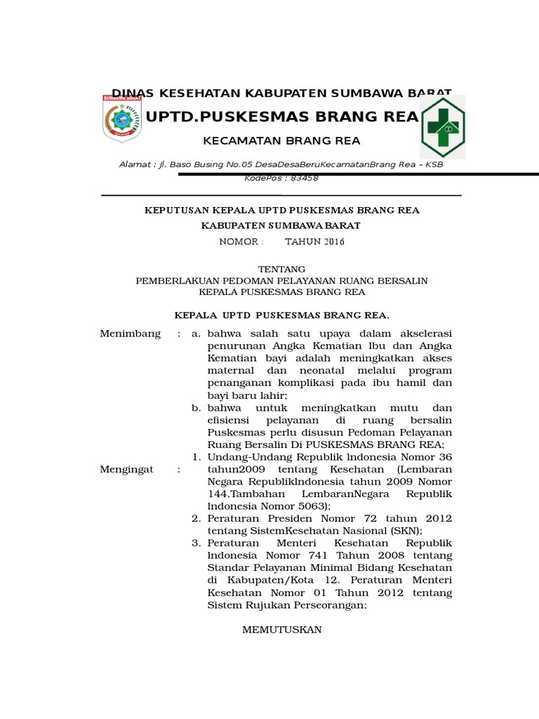 Contoh Pedoman Pelayanan Kamar Bersalin PKMBR | PDF