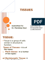 Tissues: Submitted To: Dr. Mandeep Kaur