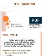 Cell Division