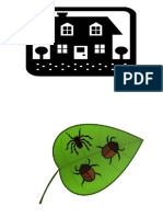 House and Bugs