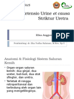 Retensio Urine Et Causa Striktur Uretra