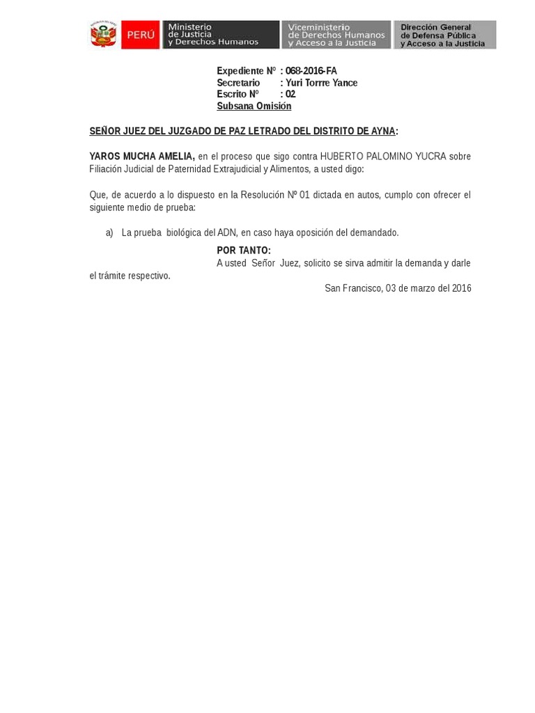 Escrito Solicitando Prueba Adn Pdf