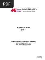 Di NT 06 PDF