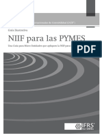 Guia_de_aplicacion_Ven_NIF__Micro-Entidades 2009.pdf