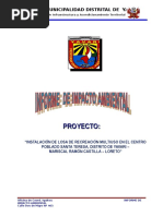Informe de Impacto Ambiental - Losa Nueva Esperanza