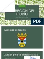 Viii Región Del Biobío