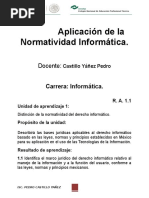 Manual - Aplicacion de La Normatividad de La Informatica - Ok