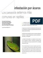 Acariasis, Infestacion Por Acaros - Los Parasitos Externos Mas Comunes en Reptiles