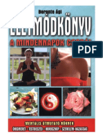 Berente Agi - Eletmodkonyv - A Mindennapok Csodai PDF