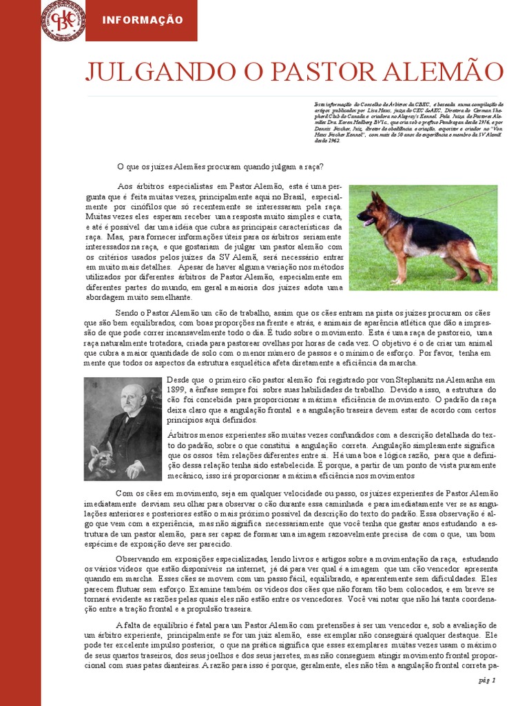 Costelas do Pastor Alemão: Quantidade Total | PDF | Pastor alemão | Cães