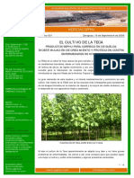 Cultivo de Teca_bioestimulación de crecimiento y protección.pdf