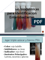 Pruebas Bioquimica