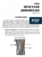 016-musculos-abdominais