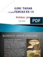 15. Budidaya Jamur