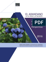 Estudio Arandano 2016