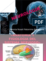 neurologia