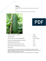 Como Cultivar Pepino.docx