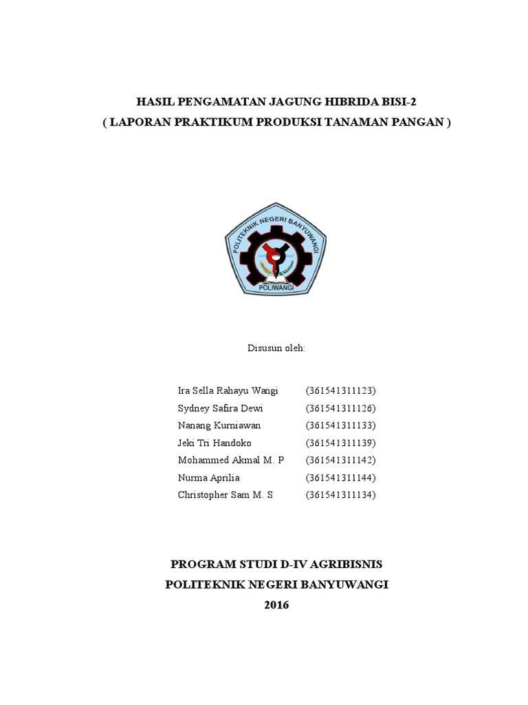 Laporan Praktikum Tanaman Jagung | PDF